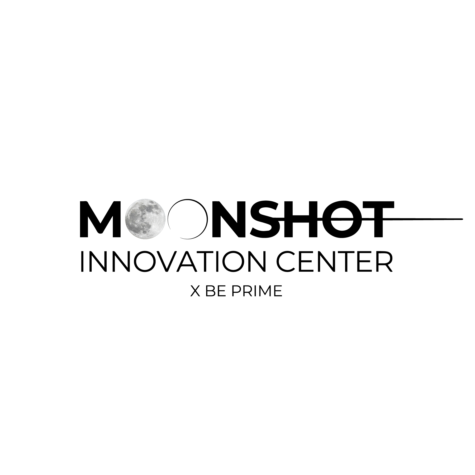 Moonshot